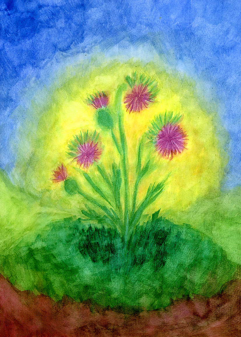 Andrea bilder003a-web-a