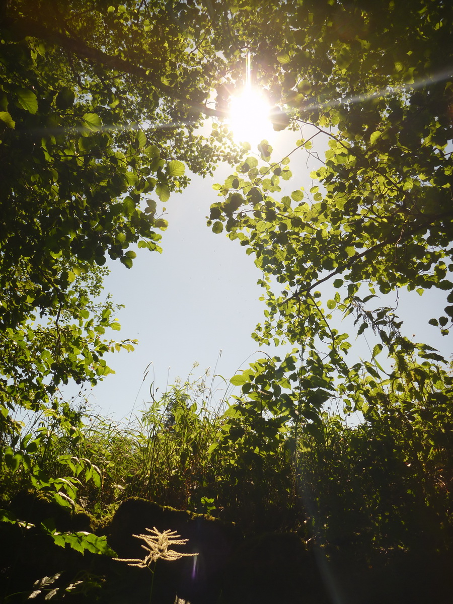 P1060856_Bildgröße ändern