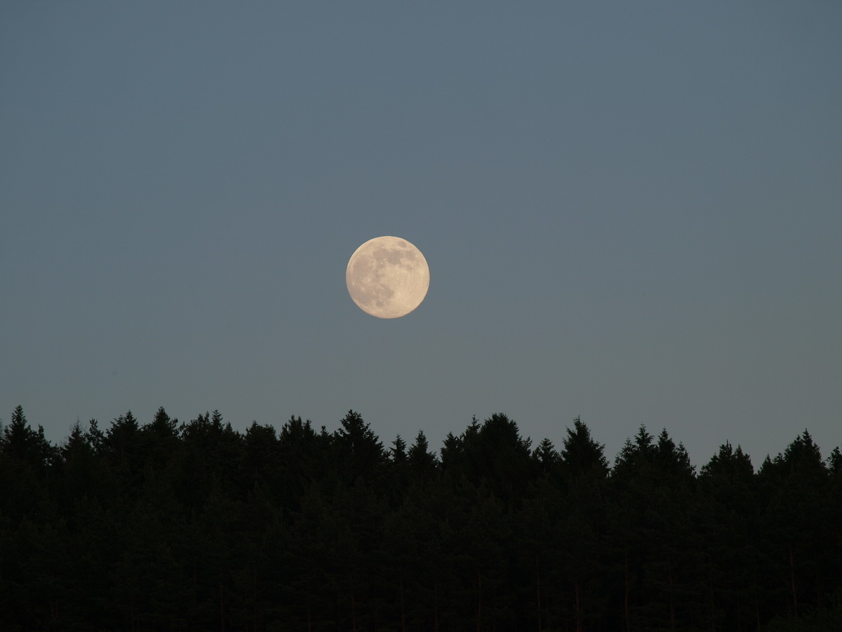 OLYMPUS DIGITAL CAMERA Aufgehender Mond von Sebastian Wind