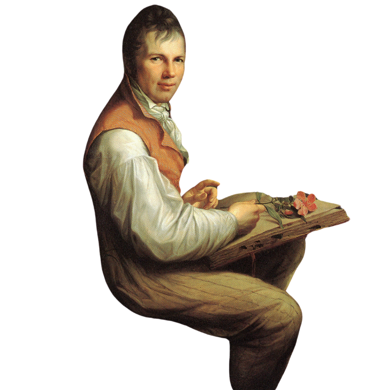 Design ohne Titel (15)